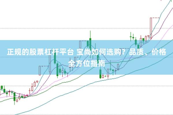 正规的股票杠杆平台 宝尚如何选购？品质、价格全方位指南