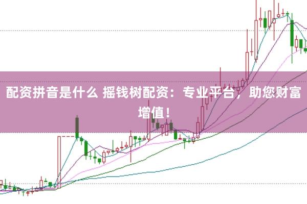 配资拼音是什么 摇钱树配资：专业平台，助您财富增值！