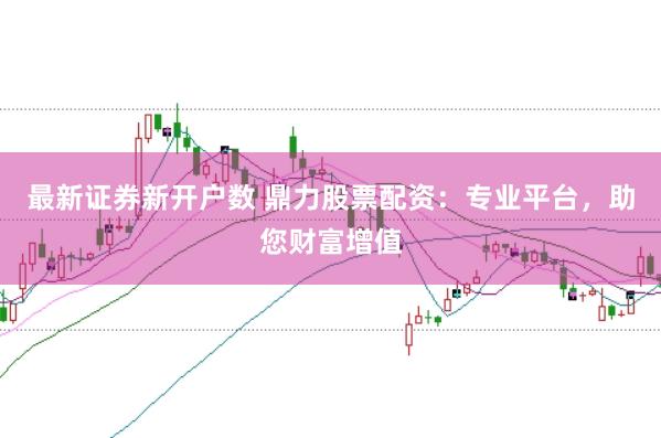 最新证券新开户数 鼎力股票配资：专业平台，助您财富增值