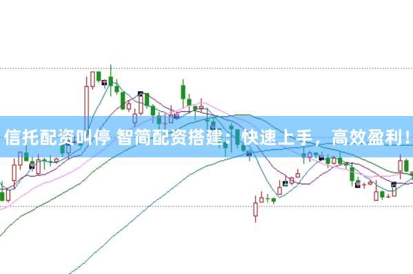 信托配资叫停 智简配资搭建：快速上手，高效盈利！