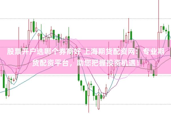 股票开户选哪个券商好 上海期货配资网：专业期货配资平台，助您把握投资机遇！