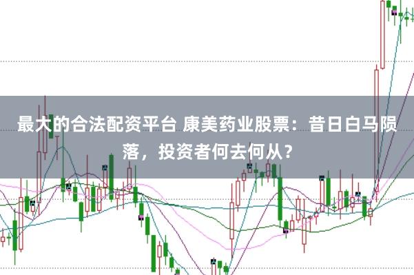 最大的合法配资平台 康美药业股票：昔日白马陨落，投资者何去何从？
