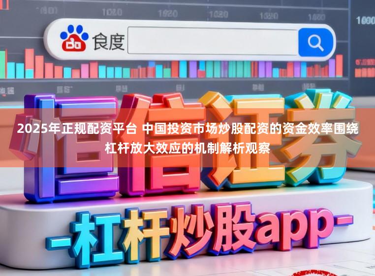 2025年正规配资平台 中国投资市场炒股配资的资金效率围绕杠杆放大效应的机制解析观察
