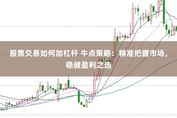 股票交易如何加杠杆 牛点策略：精准把握市场，稳健盈利之选